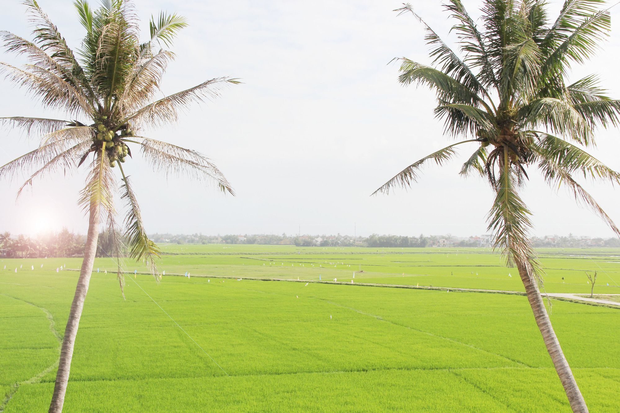 Hoi An Four Season Villa 外观 照片